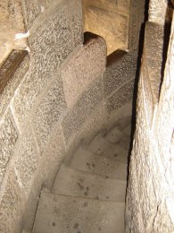 9325_14169253.jpg