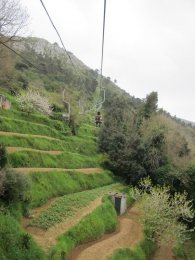 IMG_2090.JPG