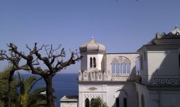 IMAG0392.jpg