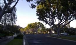 IMAG0587.jpg