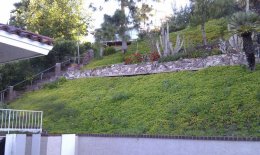 IMAG0592.jpg