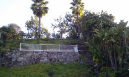 IMAG0593.jpg