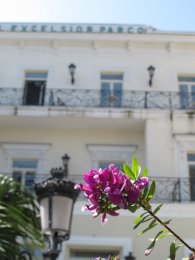 IMG_1565.JPG