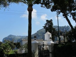IMG_1583.JPG