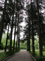 IMG_3480.JPG