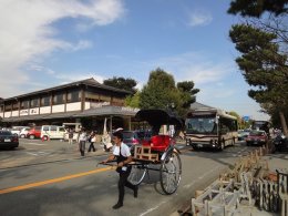 DSC00110.jpg