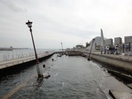 DSC00676.jpg