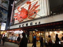 DSC00779.jpg