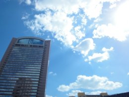 DSC01003.jpg